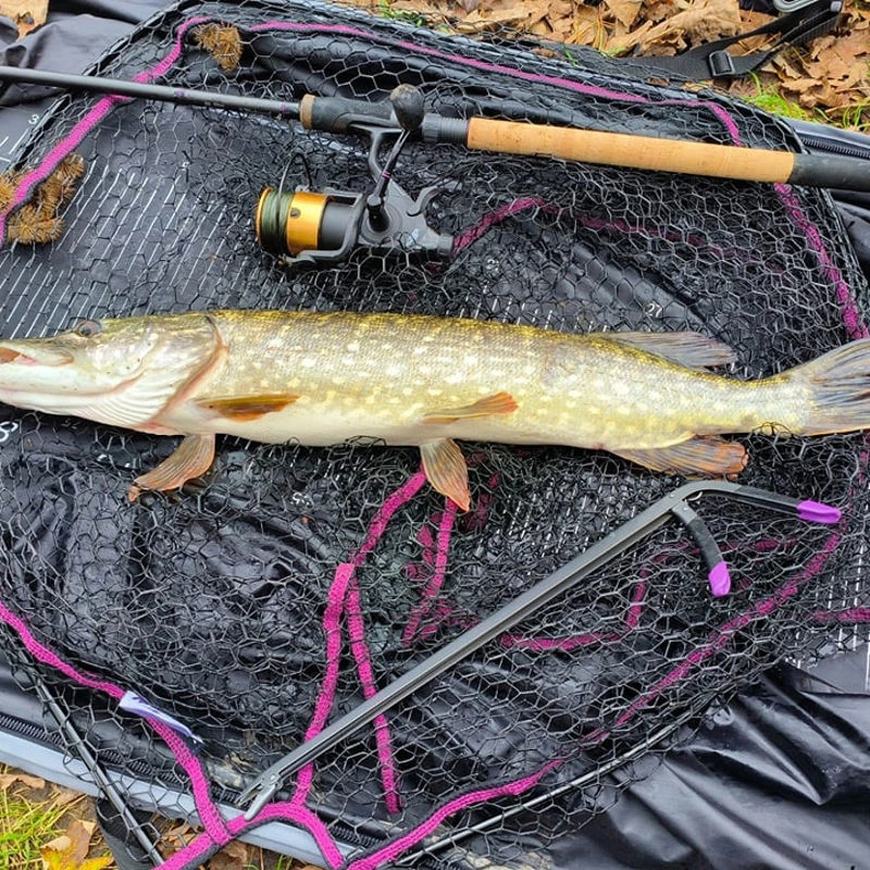Wychwood Agitator Folding Predator Nets